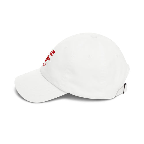 Aerie Cap | Vintage Eagle Heritage Hat