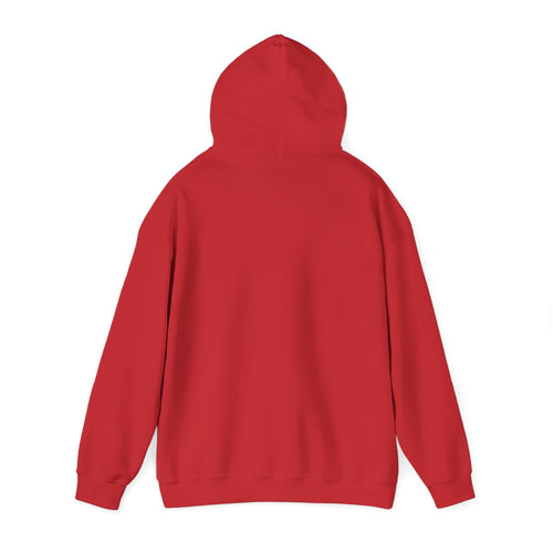 Brooklyn Skyline Hoodie – Retro Rainbow 'Born in the Borough' Pullover